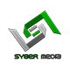 Компания Syber Media